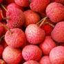 Mở rộng kết nối tiêu thụ vải thiều