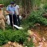 Nghệ An: Thành lập tổ công tác, mở đợt cao điểm chống buôn lậu, hàng giả