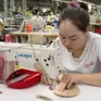 Điều tra doanh nghiệp năm 2025 trên toàn quốc
