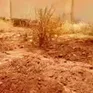 Sudan phát hiện hàng loạt hố chôn tập thể với gần 500 hài cốt