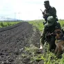 Nga lập vùng đệm dọc biên giới Ukraine