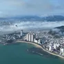 Khánh Hòa: Rạn san hô Hòn Chồng đang phục hồi