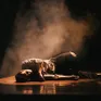 Nhạc kịch "Giấc mơ Chí Phèo" sắp tái ngộ khán giả Thủ đô