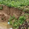 Trà Vinh sạt lở bờ sông, sụt lún kè biển nghiêm trọng