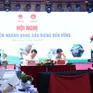 Xây dựng thị trường sầu riêng để xuất khẩu bền vững