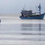 Phạt 5 chủ tàu vi phạm giám sát hành trình khai thác thủy sản