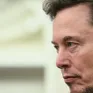 Elon Musk tuyên bố trở lại làm việc “24/7” sau sự cố gián đoạn của mạng X