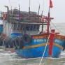 Kịp thời cứu hộ tàu cá gặp nạn ở Cửa Hội