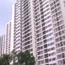 Cảnh báo lừa đảo cho thuê căn hộ