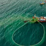 Nhịp sống yên ả nơi làng lưới Cửa Bé