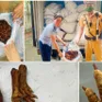 Hà Nội: Bắt giữ hơn 1 tấn chân gà chiên không rõ nguồn gốc