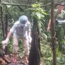 Phát hiện bộ hài cốt trong rừng nghi là đối tượng truy nã