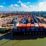 Tắc nghẽn cảng biển nghiêm trọng tại châu Âu