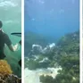 Trải nghiệm chèo Sup, lặn biển ngắm san hô