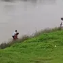 Cô giáo dũng cảm lao xuống sông cứu học sinh đuối nước