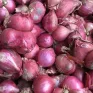 Hành tím Ninh Thuận chinh phục thị trường thế giới