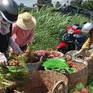 EU gia tăng kiểm soát chất lượng nông sản