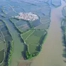 Phục hồi rừng ngập mặn đầm Nha Phu: Kỳ vọng một vành đai xanh tương lai