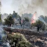 Israel lập thêm 22 khu định cư Do Thái tại Bờ Tây