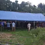 Sét đánh tử vong khi đang gặt lúa, ba người thiệt mạng chỉ trong 10 ngày