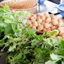 Phiên chợ hữu cơ ở Đà Lạt - Nơi kết nối những câu chuyện lành