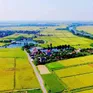 Ngày 30/5, hạn cuối nộp giấy đề nghị gia hạn tiền thuế, tiền thuê đất