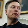 Phản ứng của người dân Mỹ sau khi tỷ phú Elon Musk rời chính trường