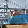 Khai trương tuyến vận chuyển đường biển kết nối Cần Thơ - Cái Mép