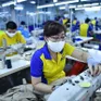 Xuất khẩu dệt may, da giày hướng tới thị trường đích