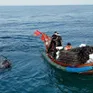 Độc đáo nghề bẫy mực lá của ngư dân bãi ngang