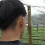 Nhiều học sinh vùng cao bỏ học, “sập bẫy” việc nhẹ, lương cao