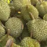 Thủ tướng yêu cầu không để tình trạng ùn tắc hàng hóa, nông sản tại cửa khẩu
