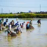 Hàng trăm người dân Quảng Bình lội bùn bắt cá dịp Tết Đoan Ngọ