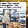 Nga đối mặt khủng hoảng thiếu khoai tây chưa từng có