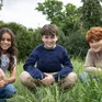 Harry Potter phiên bản truyền hình: Tỷ lệ chọi khủng, kết quả vẫn tranh cãi