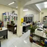 Thủ tướng: Đẩy mạnh xử lý tài sản sau sắp xếp, tránh thất thoát, lãng phí