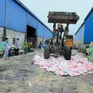 Tiêu hủy gần 2.000 gấu bông “Baby Three” chứa chất độc hại