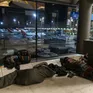 Vấn nạn người vô gia cư ngủ qua đêm tại sân bay Madrid, Tây Ban Nha