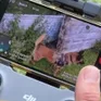 Chú chó quân sự đầu tiên trên thế giới được điều khiển bằng drone