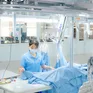 Doanh nghiệp xuất khẩu: "Đi bằng hai chân" để vươn xa bền vững