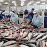 Xuất khẩu thủy sản tăng 14% so với cùng kỳ