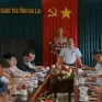 Thanh tra toàn diện Công ty TNHH Một thành viên cà phê Gia Lai