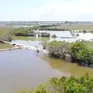 Mang lại màu xanh cho vùng đầm phá ven biển