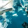 Báo động tình trạng ô nhiễm đại dương