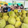 Sớm chuẩn hóa ngành sầu riêng