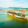 Bà Rịa - Vũng Tàu: Công nghiệp chế biến tăng mạnh