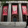 Nhật Bản hỗ trợ sinh viên quốc tế bị Đại học Harvard từ chối