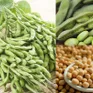 Thúc đẩy xuất nhập khẩu nông sản Việt Nam - Mỹ
