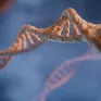 Phát hiện gene đột biến giúp con người khỏe mạnh dù chỉ ngủ 3 tiếng mỗi đêm