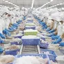 Xuất khẩu thủy sản nhiều gam màu sáng